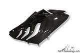 Carbon Ilmberger Verkleidungsseitenteile Set BMW S 1000 RR