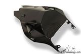 Carbon Ilmberger Heckverkleidung ohne Passagier BMW S 1000 RR