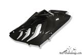 Carbon Ilmberger kuipdelen set BMW S 1000 RR