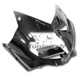 Carenado de carbono Ilmberger BMW K 1300 S