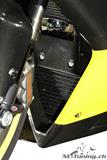 Carbon Ilmberger fairing insert Ducati 848
