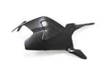 Carbon Ilmberger swingarm cover Ducati Panigale 1299