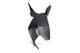 Carbon Ilmberger swingarm cover Ducati Panigale 1299
