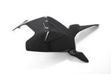 Carbon Ilmberger swingarm cover Ducati Panigale 1299