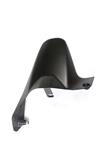 Carbon Ilmberger afdekking achterwiel Ducati Monster 1200 R