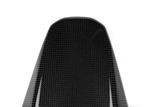 Carbon Ilmberger afdekking achterwiel Ducati Monster 1200 R