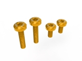 DBK Schrauben Set untere Heckabdeckung Ducati Panigale V2