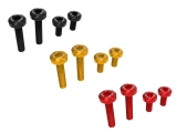 DBK Schrauben Set untere Heckabdeckung Ducati Panigale V2
