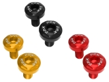 DBK Schrauben Set Federbeinabdeckung Ducati Panigale V2