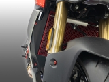 DBK Schrauben Set K�hlerschutz Ducati Streetfighter V2