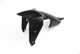 Carbon Ilmberger front wheel cover Ducati Monster 1200