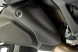 Carbon Ilmberger kofferbeschermer op uitlaat Ducati Monster 1200