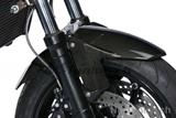 Parafango anteriore in carbonio Ilmberger BMW F 800 R