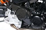 Cubre rueda de carbono Ilmberger BMW F 800 R