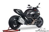 Carbon Ilmberger license plate holder incl. chain guard Ducati Diavel