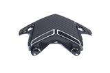 Carbon Ilmberger Rcklichtabdeckung Honda CBR 1000 RR