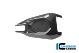 Carbon Ilmberger Schwingenabdeckung Set Ducati Panigale V4R