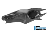 Carbon Ilmberger Schwingenabdeckung Set Ducati Panigale V4R