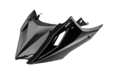 Puig Bugspoiler kurz Kawasaki Z900