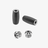 Bonamici Fussrastenanlage CFMoto 675 SR-R