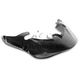 Carbon Ilmberger tail light fairing Triumph Speed Triple 1050