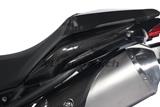 Carbon Ilmberger Seitendeckel unterm Sitz Set Triumph Speed Triple 1050