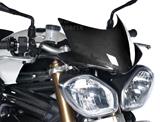 Carbon Ilmberger windshield Triumph Speed Triple 1050