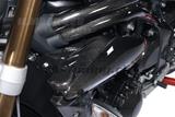 Carbon Ilmberger Vattenkylarskyddssats Triumph Speed Triple 1050