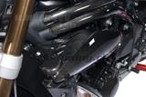 Kit de protection du radiateur d'eau en carbone Ilmberger Triumph Speed Triple 1050