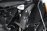 Set copertura radiatore acqua in carbonio Triumph Speed Triple 1050