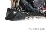 Spoiler anteriore in carbonio Ilmberger Honda CB 1000R