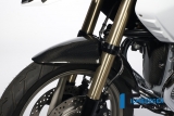 Carbon Ilmberger Kotfl�gel vorne BMW R 1200 GS