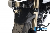 Carbon Ilmberger Kotfl�gel vorne BMW R 1200 GS