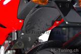 Carbon Ilmberger Rahmenheckabdeckung unten MV Agusta Brutale 750